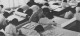 Thumbs/tn_69 (180).jpg